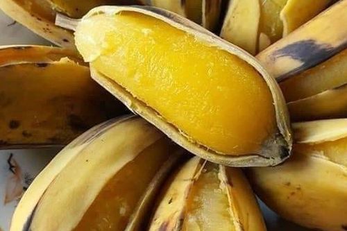 Loại chuối đặc biệt ở Việt Nam, chín vàng vẫn phải luộc mới ngon, giá tới 50.000 đồng/kg