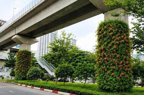 Hà Nội thí điểm phủ xanh trụ đường sắt, hầm chui và nhà chờ xe buýt