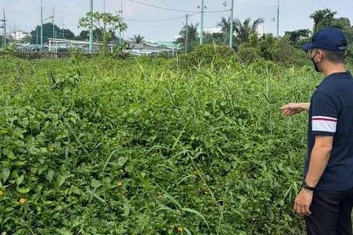 Xã Tân Nhựt, TPHCM: Tháo gỡ 'nút thắt' thủ tục dự án cửa hàng xăng dầu
