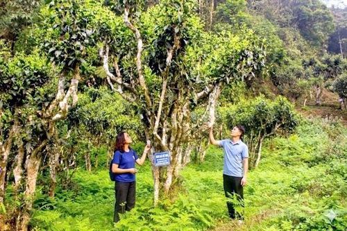 Nông nghiệp hàng hóa từ những vùng trồng có 'địa chỉ'