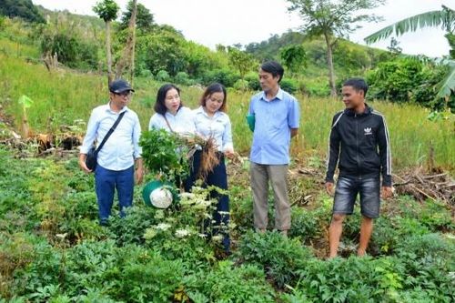 Đà Nẵng mở hướng sinh kế mới từ lợi thế vùng cao