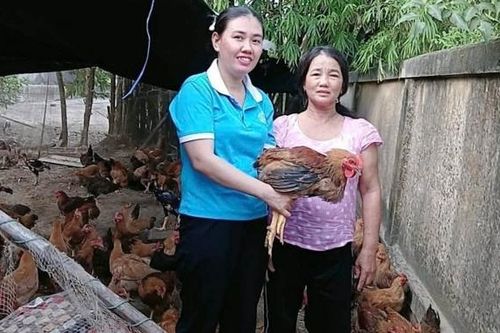 Tín hiệu tích cực từ mô hình nuôi gà thịt, tạo động lực thoát nghèo bền vững