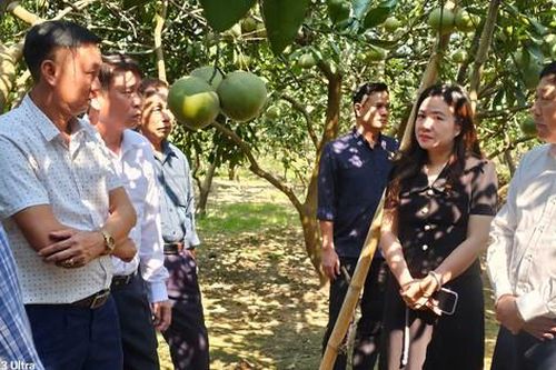 Xã Nội Bài: Đưa Cuộc vận động gắn chặt hơn với phát triển kinh tế địa phương