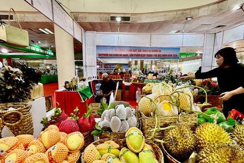 Hàng ngàn đặc sản vùng miền quy tụ tại Hà Nội