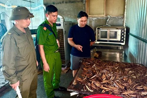 Kiểm tra Mộc Ngư Food, phát hiện hơn 80 kg cá đông lạnh không rõ nguồn gốc