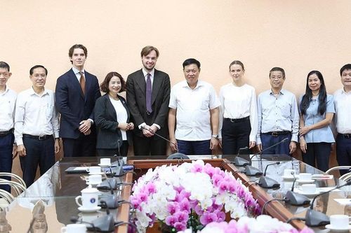 Bộ Y tế thúc đẩy hợp tác với Áo phát triển mô hình y tế cơ động