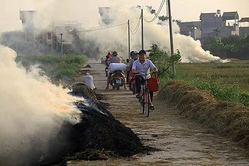 Hà Nội yêu cầu ngăn chặn và xử lý nghiêm các trường hợp đốt rơm rạ
