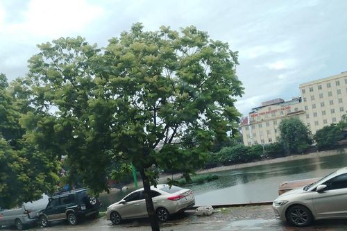 Đẩy nhanh tiến độ xử lý nhà, đất công dôi dư