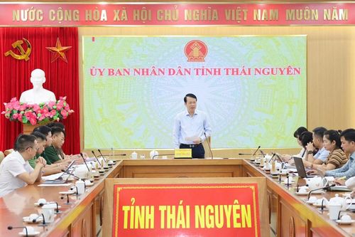 Thái Nguyên gắn chương trình nghệ thuật quốc gia với Festival Trà 2026