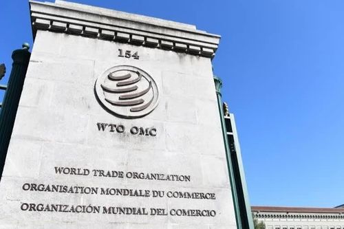 WTO nâng dự báo tăng trưởng thương mại toàn cầu