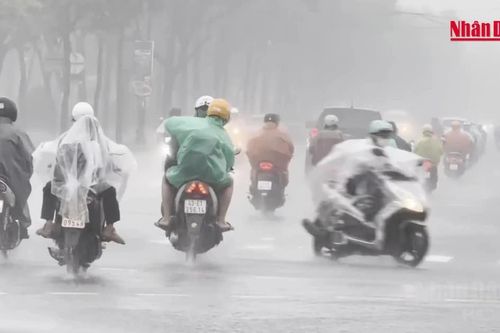 [Video] Cảnh báo lũ quét, sạt lở đất tại 4 tỉnh, thành phố miền trung