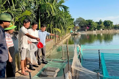 Ninh Bình: Khánh Thiện hôm nay, mùa phù sa mới