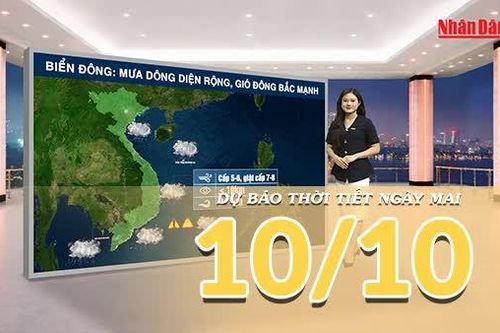 [Video] Dự báo thời tiết đêm nay và ngày mai 10/10/2026: Không khí lạnh tăng cường khiến Bắc Bộ chuyển mưa, Trung Bộ tiếp diễn mưa lớn