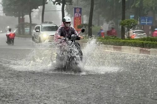 TPHCM: Mưa lớn tiếp diễn, triều cường có thể trên báo động 3