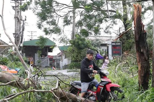 Chu kỳ xuất hiện siêu bão có thể rút ngắn khi Trái đất nóng lên