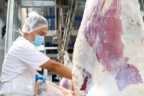 Tỉnh Tây Ninh dự kiến khởi công Vành đai 4 TPHCM vào ngày 15-10