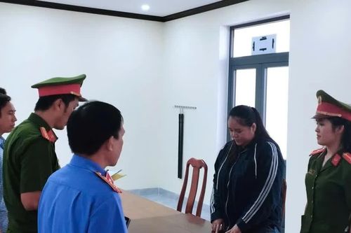 Quảng Ngãi: Người phụ nữ lừa đảo hơn 28 tỷ đồng bằng chiêu huy động vốn kinh doanh nông sản