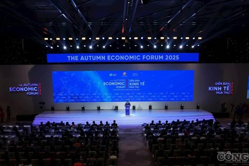 TP.HCM sắp đón 1.500 đại biểu dự Diễn đàn Kinh tế Mùa thu 2026