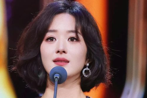Triệu Lệ Dĩnh sau tin giải nghệ