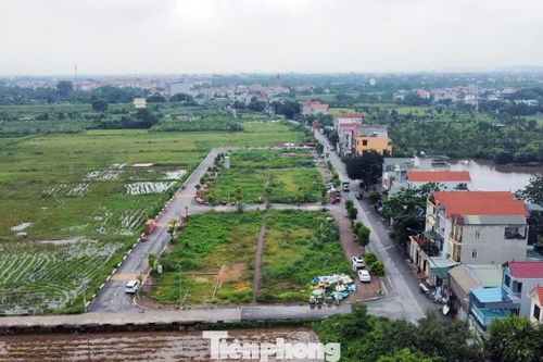 Quy định thế nào là đất bỏ hoang, bị đánh thuế?