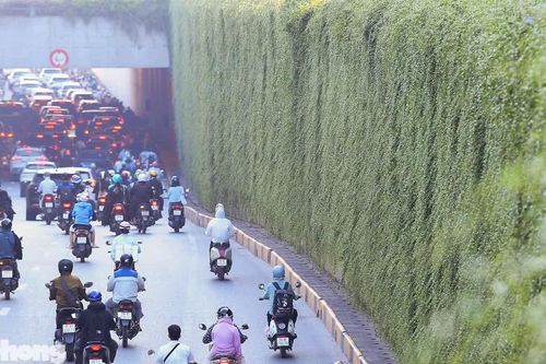 Những hầm chui Hà Nội trước ngày phủ xanh