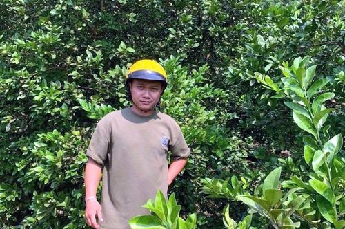 Từ nhân rộng giống cây 'lạ' làm giàu đến nông nghiệp xanh bền vững