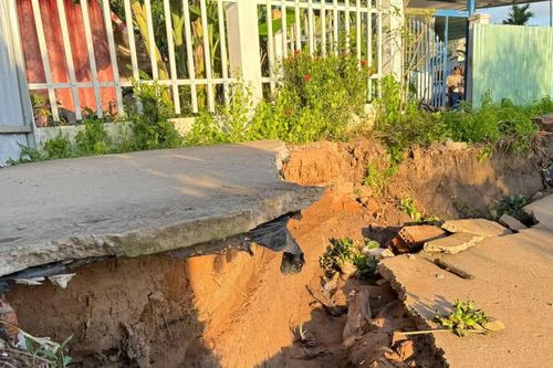 Cần Thơ chi hơn 1.400 tỷ đồng gia cố hàng trăm điểm sạt lở