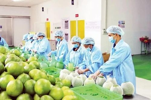 Nông sản 'chạy nước rút' hướng đến mốc 18 tỷ USD cuối năm
