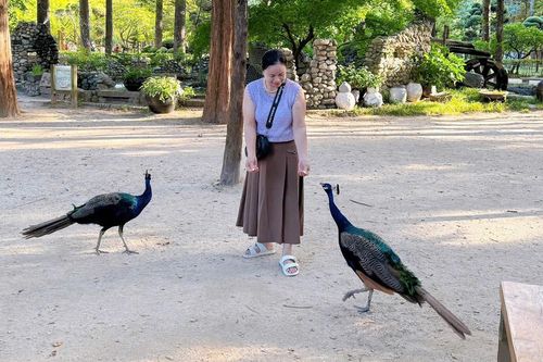 Khách Việt ghé điểm đến nổi tiếng, nhiều thú hoang dã, mê món giá 20 nghìn đồng