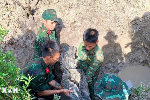 Cà Mau: Rà soát, mở rộng phạm vi tìm kiếm, quy tập hài cốt liệt sỹ