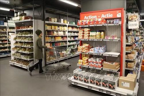 Kinh tế Eurozone giảm tốc, lạm phát và chi phí vay nợ gia tăng