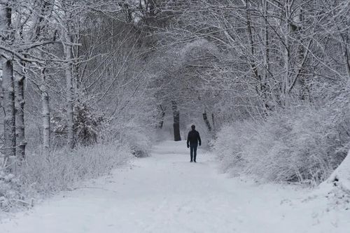 El Niño và nguy cơ rét đậm ở châu Âu