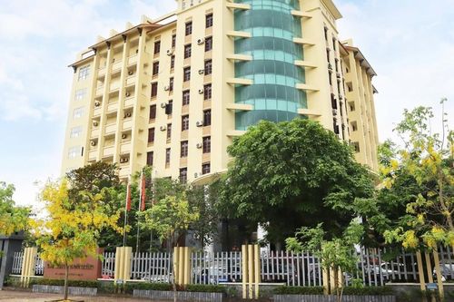 Thông báo kết quả phân tích vụ cá chết trôi dạt bờ biển Quảng Trị