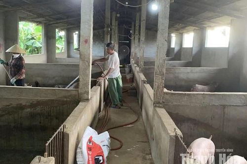 Tái đàn, tăng đàn vật nuôi những tháng cuối năm