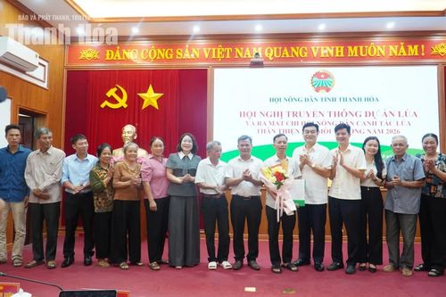 Truyền thông dự án và ra mắt Chi hội nông dân canh tác lúa
