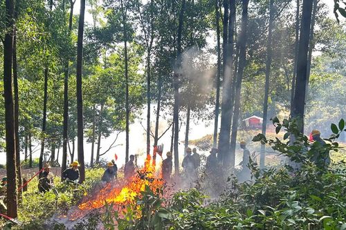 Bắc Ninh: Thực tập phương án phòng cháy, chữa cháy rừng tại xã Kiên Lao