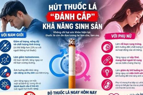 Thuốc lá đe dọa khả năng sinh sản của cả nam và nữ
