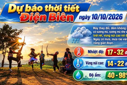 Bản tin Dự báo thời tiết ngày 10/10/2026