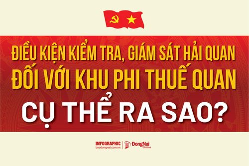 [Infographic] Điều kiện kiểm tra, giám sát hải quan đối với khu phi thuế quan cụ thể ra sao?