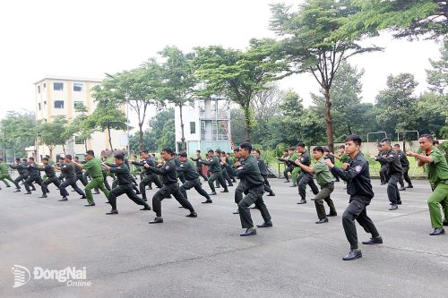 Tổng kết công tác huấn luyện trung đoàn cảnh sát cơ động dự bị chiến đấu năm 2026