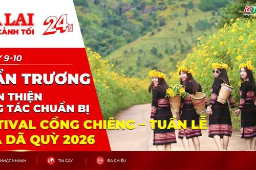 Toàn cảnh Gia Lai 24h: Khẩn trương hoàn thiện công tác chuẩn bị Festival Cồng chiêng - Tuần lễ Hoa Dã quỳ 2026