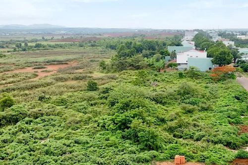 Quyết định phương án đấu giá quyền sử dụng đất thực hiện dự án Khu đô thị CK54