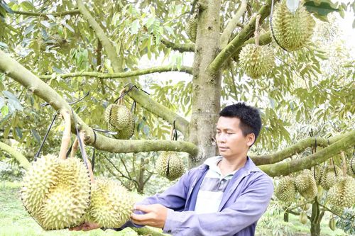 Để chính sách dân tộc đi vào đời sống, tạo sự bứt phá từ cơ sở