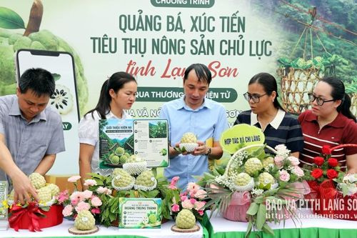 Học để làm chủ kỹ năng