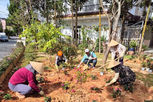 Góp thêm sắc hoa vào lễ hội
