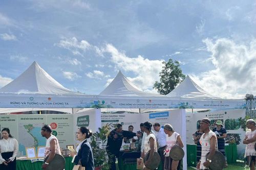 Lan tỏa thông điệp giữ rừng, phát triển sinh kế bền vững tại Lâm Đồng