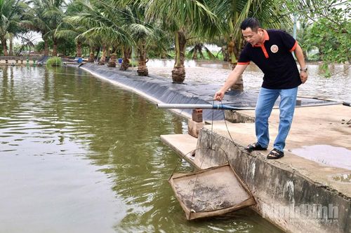 Những nông dân Ninh Bình được vinh danh “Nông dân Việt Nam xuất sắc 40 năm Đổi mới”
