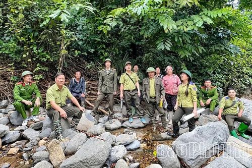Xử lý 112 vụ vi phạm lâm nghiệp trong 9 tháng