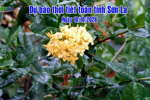 Dự báo thời tiết toàn tỉnh Sơn La ngày 10/10/2026