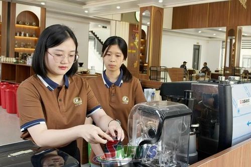 Cùng nông dân Sơn La nâng tầm hạt cà phê Arabica trên bản đồ thế giới
